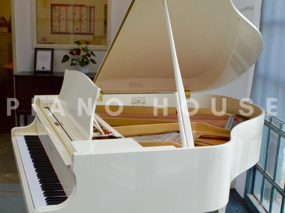 Hình ảnh chi tiết KAWAI KG-1E WH góc chụp 7